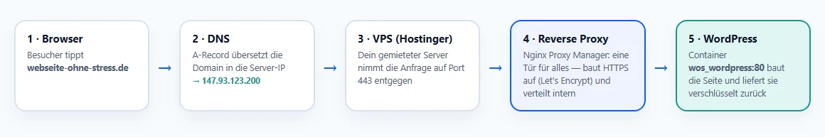 Diagramm: Der Weg deiner Webseite — vom Browser über DNS und Server bis zu WordPress