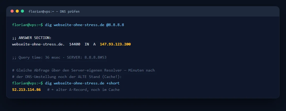 Terminal-Ausgabe von dig: Zwei DNS-Resolver zeigen für dieselbe Domain noch unterschiedliche IP-Adressen