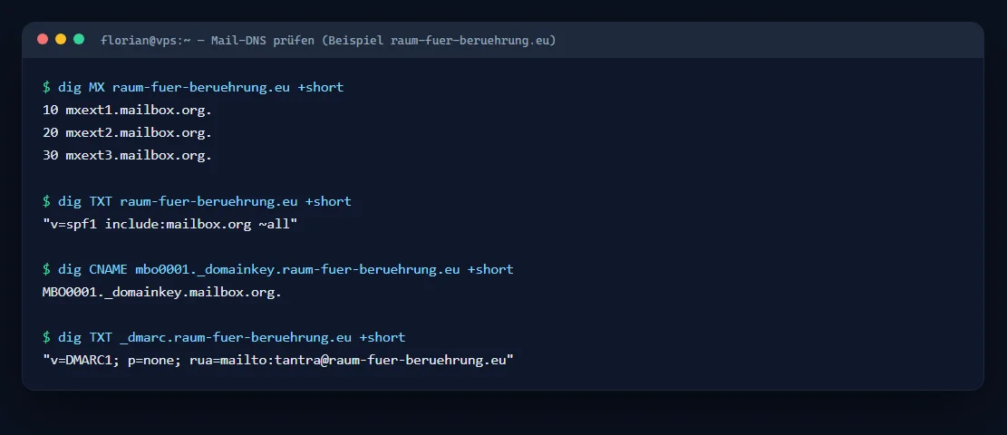 Terminal: dig-Abfragen zeigen die gesetzten MX-, SPF-, DKIM- und DMARC-Einträge einer Domain